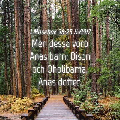 Picture 04 - 1 Mosebok 36:25 SV1917 - Men dessa voro Anas barn: Dison och Oholibama, - Bible Verse Picture
