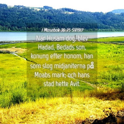 Picture 04 - 1 Mosebok 36:35 SV1917 - När Husam dog, blev Hadad, Bedads son, konung - Bible Verse Picture