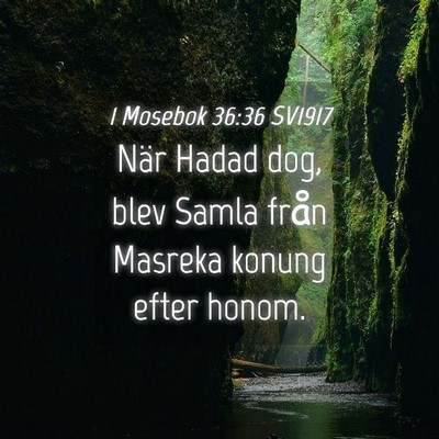 Picture 04 - 1 Mosebok 36:36 SV1917 - När Hadad dog, blev Samla från Masreka konung - Bible Verse Picture
