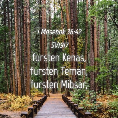 Picture 04 - 1 Mosebok 36:42 SV1917 - fursten Kenas, fursten Teman, fursten - Bible Verse Picture