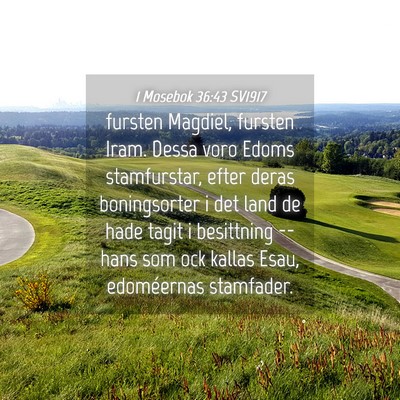 Picture 04 - 1 Mosebok 36:43 SV1917 - fursten Magdiel, fursten Iram. Dessa voro Edoms - Bible Verse Picture