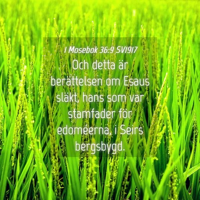 Picture 04 - 1 Mosebok 36:9 SV1917 - Och detta är berättelsen om Esaus släkt, hans - Bible Verse Picture