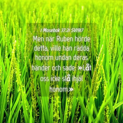 Picture 04 - 1 Mosebok 37:21 SV1917 - Men när Ruben hörde detta, ville han rädda - Bible Verse Picture