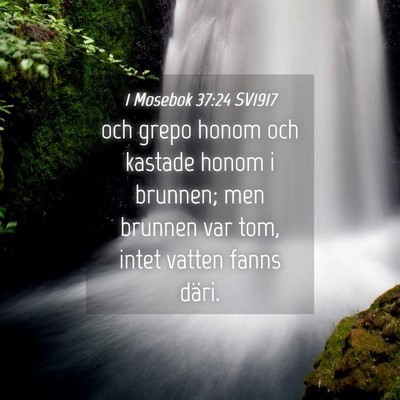 Picture 04 - 1 Mosebok 37:24 SV1917 - och grepo honom och kastade honom i brunnen; men - Bible Verse Picture