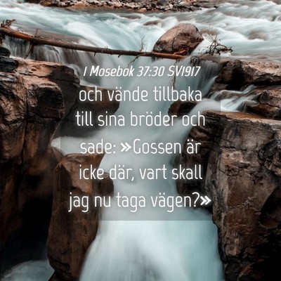 Picture 04 - 1 Mosebok 37:30 SV1917 - och vände tillbaka till sina bröder och sade: - Bible Verse Picture