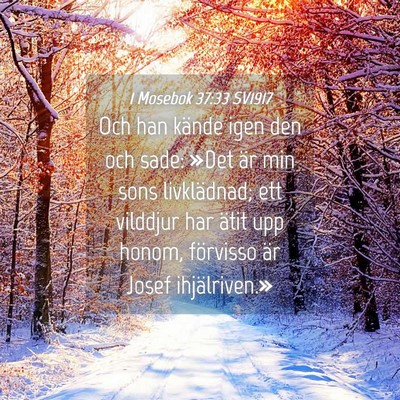 Picture 04 - 1 Mosebok 37:33 SV1917 - Och han kände igen den och sade: »Det är min - Bible Verse Picture