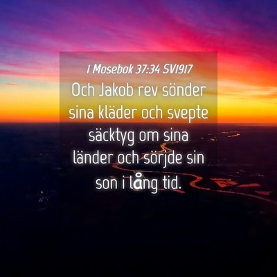 Picture 04 - 1 Mosebok 37:34 SV1917 - Och Jakob rev sönder sina kläder och svepte - Bible Verse Picture