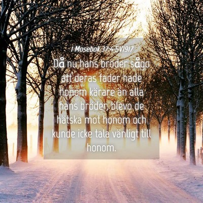 Picture 04 - 1 Mosebok 37:4 SV1917 - Då nu hans bröder sågo att deras fader hade - Bible Verse Picture