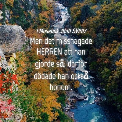Picture 04 - 1 Mosebok 38:10 SV1917 - Men det misshagade HERREN att han gjorde så; - Bible Verse Picture