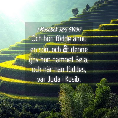 Picture 04 - 1 Mosebok 38:5 SV1917 - Och hon födde ännu en son, och åt denne gav - Bible Verse Picture