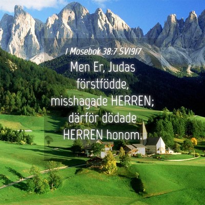 Picture 04 - 1 Mosebok 38:7 SV1917 - Men Er, Judas förstfödde, misshagade HERREN; - Bible Verse Picture
