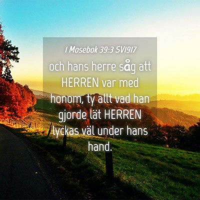 Picture 04 - 1 Mosebok 39:3 SV1917 - och hans herre såg att HERREN var med honom, ty - Bible Verse Picture