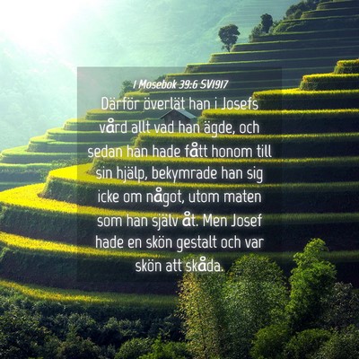 Picture 04 - 1 Mosebok 39:6 SV1917 - Därför överlät han i Josefs vård allt vad - Bible Verse Picture