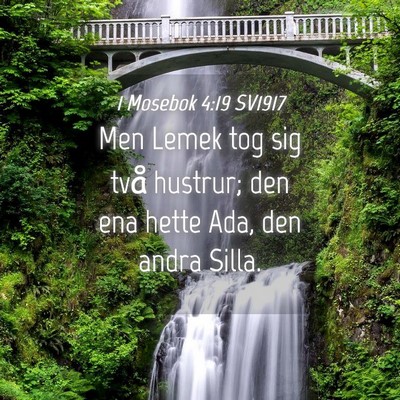 Picture 04 - 1 Mosebok 4:19 SV1917 - Men Lemek tog sig två hustrur; den ena hette - Bible Verse Picture