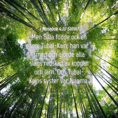 Picture 04 - 1 Mosebok 4:22 SV1917 - Men Silla födde ock en son, Tubal-Kain; han var - Bible Verse Picture