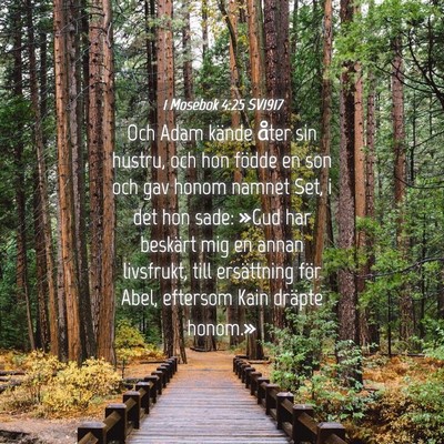 Picture 04 - 1 Mosebok 4:25 SV1917 - Och Adam kände åter sin hustru, och hon födde - Bible Verse Picture