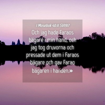 Picture 04 - 1 Mosebok 40:11 SV1917 - Och jag hade Faraos bägare i min hand, och jag - Bible Verse Picture