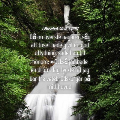 Picture 04 - 1 Mosebok 40:16 SV1917 - Då nu överste bagaren såg att Josef hade givit - Bible Verse Picture