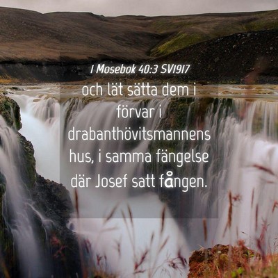 Picture 04 - 1 Mosebok 40:3 SV1917 - och lät sätta dem i förvar i - Bible Verse Picture