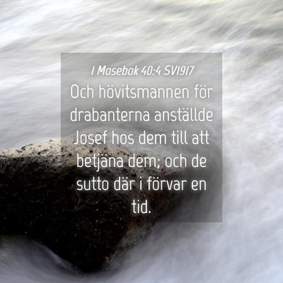 Picture 04 - 1 Mosebok 40:4 SV1917 - Och hövitsmannen för drabanterna anställde - Bible Verse Picture