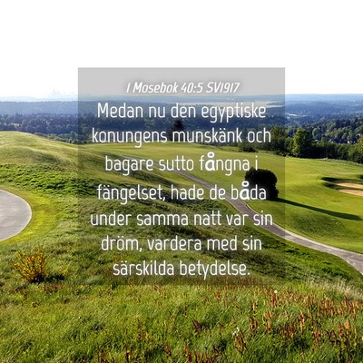 Picture 04 - 1 Mosebok 40:5 SV1917 - Medan nu den egyptiske konungens munskänk och - Bible Verse Picture