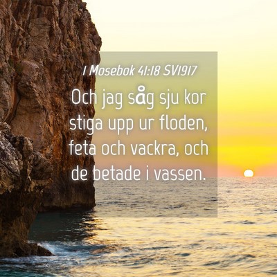 Picture 04 - 1 Mosebok 41:18 SV1917 - Och jag såg sju kor stiga upp ur floden, feta - Bible Verse Picture