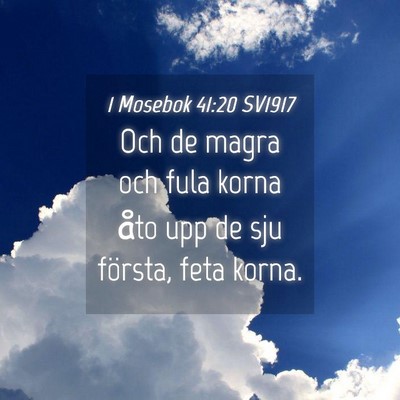 Picture 04 - 1 Mosebok 41:20 SV1917 - Och de magra och fula korna åto upp de sju - Bible Verse Picture