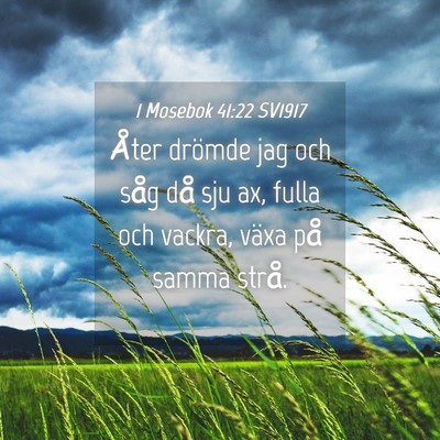 Picture 04 - 1 Mosebok 41:22 SV1917 - Åter drömde jag och såg då sju ax, fulla och - Bible Verse Picture
