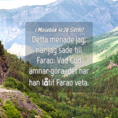 Picture 04 - 1 Mosebok 41:28 SV1917 - Detta menade jag, när jag sade till Farao: Vad - Bible Verse Picture