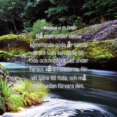 Picture 04 - 1 Mosebok 41:35 SV1917 - Må man under dessa kommande goda år samla in - Bible Verse Picture