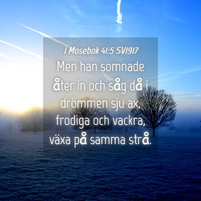 Picture 04 - 1 Mosebok 41:5 SV1917 - Men han somnade åter in och såg då i drömmen - Bible Verse Picture