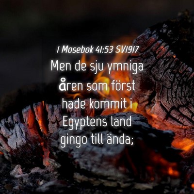 Picture 04 - 1 Mosebok 41:53 SV1917 - Men de sju ymniga åren som först hade kommit i - Bible Verse Picture