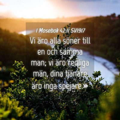 Picture 04 - 1 Mosebok 42:11 SV1917 - Vi äro alla söner till en och samma man; vi - Bible Verse Picture