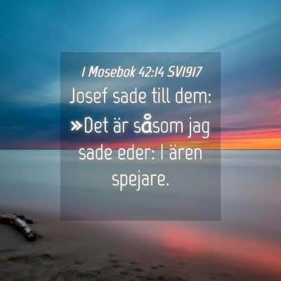 Picture 04 - 1 Mosebok 42:14 SV1917 - Josef sade till dem: »Det är såsom jag sade - Bible Verse Picture