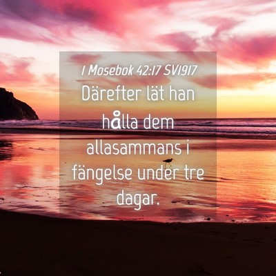Picture 04 - 1 Mosebok 42:17 SV1917 - Därefter lät han hålla dem allasammans i - Bible Verse Picture