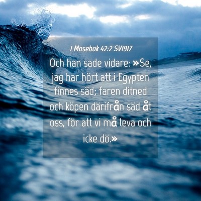 Picture 04 - 1 Mosebok 42:2 SV1917 - Och han sade vidare: »Se, jag har hört att i - Bible Verse Picture