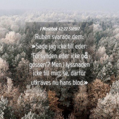 Picture 04 - 1 Mosebok 42:22 SV1917 - Ruben svarade dem: »Sade jag icke till eder: - Bible Verse Picture