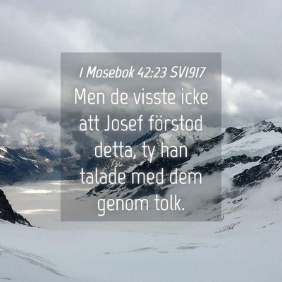 Picture 04 - 1 Mosebok 42:23 SV1917 - Men de visste icke att Josef förstod detta, ty - Bible Verse Picture