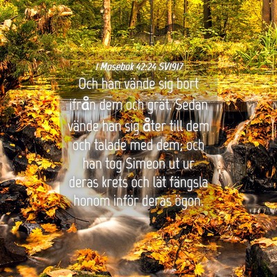 Picture 04 - 1 Mosebok 42:24 SV1917 - Och han vände sig bort ifrån dem och grät. - Bible Verse Picture