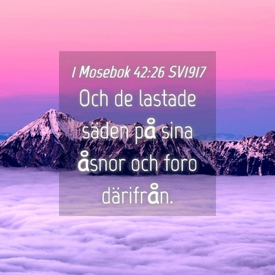 Picture 04 - 1 Mosebok 42:26 SV1917 - Och de lastade säden på sina åsnor och foro - Bible Verse Picture