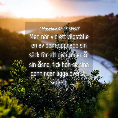 Picture 04 - 1 Mosebok 42:27 SV1917 - Men när vid ett viloställe en av dem öppnade - Bible Verse Picture