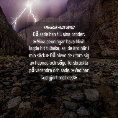 Picture 04 - 1 Mosebok 42:28 SV1917 - Då sade han till sina bröder: »Mina penningar - Bible Verse Picture