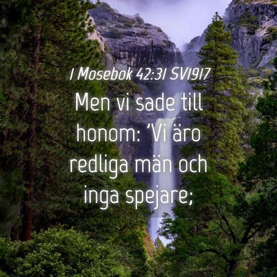 Picture 04 - 1 Mosebok 42:31 SV1917 - Men vi sade till honom: 'Vi äro redliga män och - Bible Verse Picture