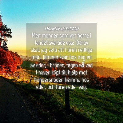 Picture 04 - 1 Mosebok 42:33 SV1917 - Men mannen som var herre i landet svarade oss: - Bible Verse Picture
