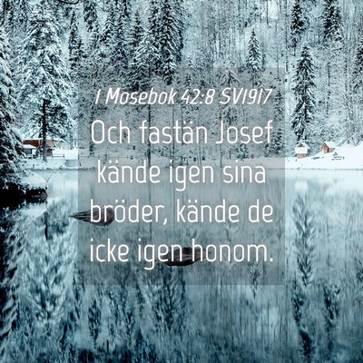 Picture 04 - 1 Mosebok 42:8 SV1917 - Och fastän Josef kände igen sina bröder, - Bible Verse Picture