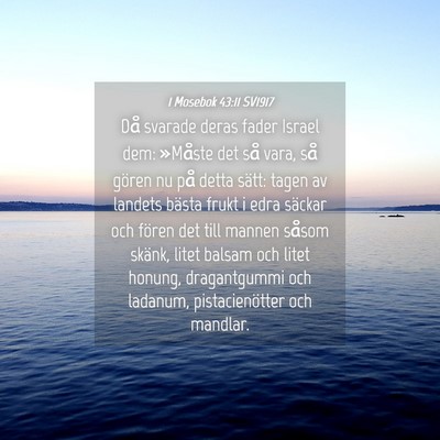 Picture 04 - 1 Mosebok 43:11 SV1917 - Då svarade deras fader Israel dem: »Måste det - Bible Verse Picture