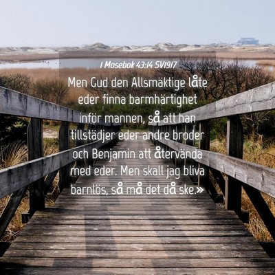 Picture 04 - 1 Mosebok 43:14 SV1917 - Men Gud den Allsmäktige låte eder finna - Bible Verse Picture
