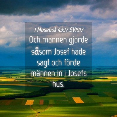 Picture 04 - 1 Mosebok 43:17 SV1917 - Och mannen gjorde såsom Josef hade sagt och - Bible Verse Picture