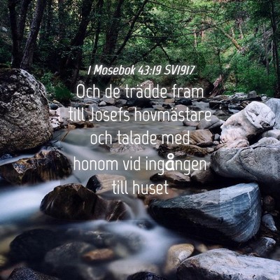 Picture 04 - 1 Mosebok 43:19 SV1917 - Och de trädde fram till Josefs hovmästare och - Bible Verse Picture