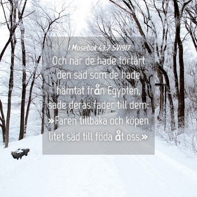 Picture 04 - 1 Mosebok 43:2 SV1917 - Och när de hade förtärt den säd som de hade - Bible Verse Picture